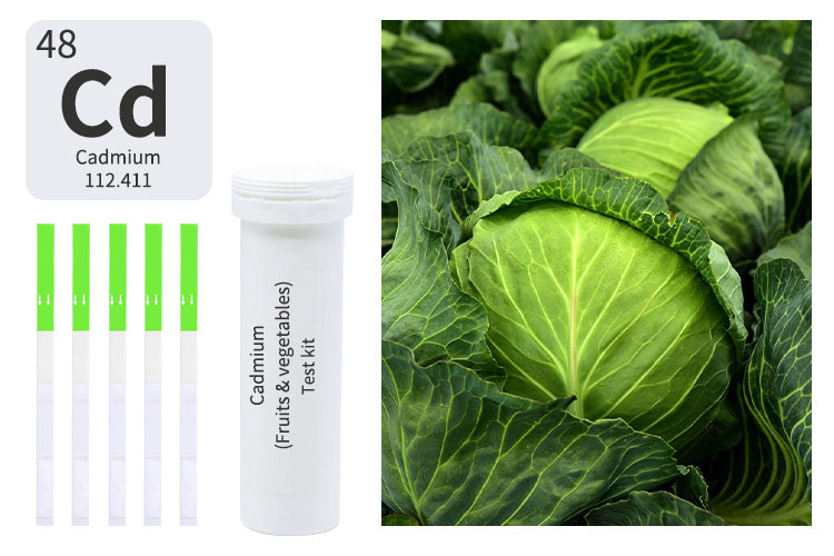 heavy-metal-detox-test-kit