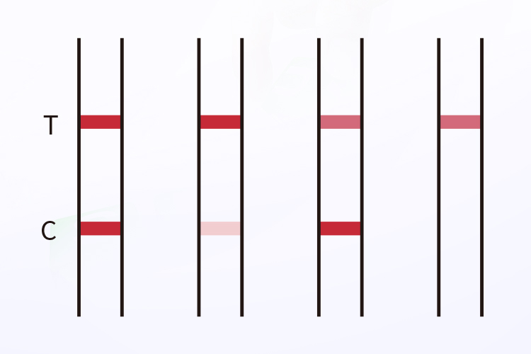 heavy-metal-screen-test