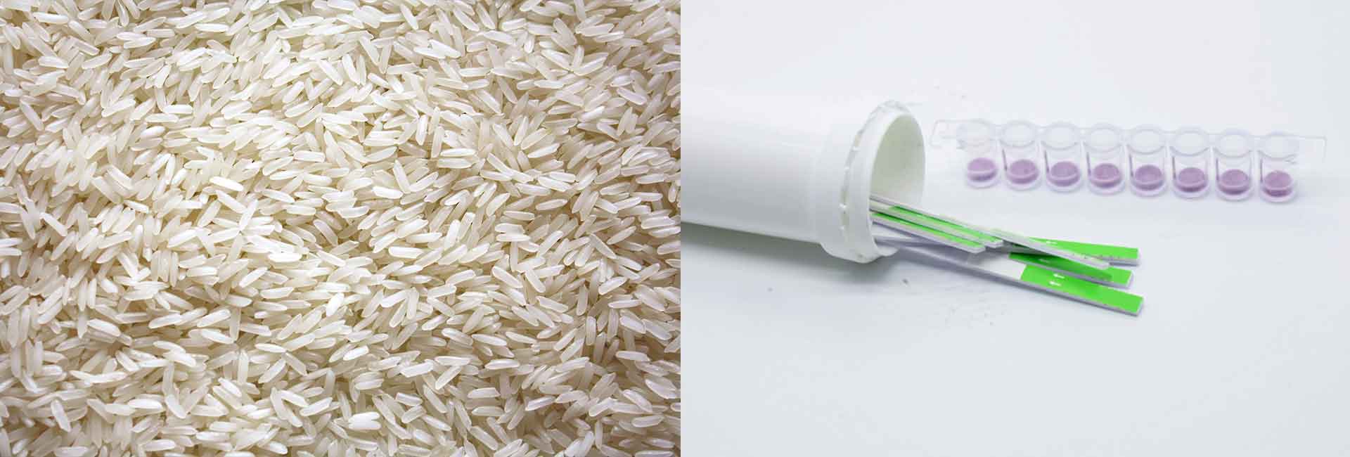 heavy-metal-toxicity-test