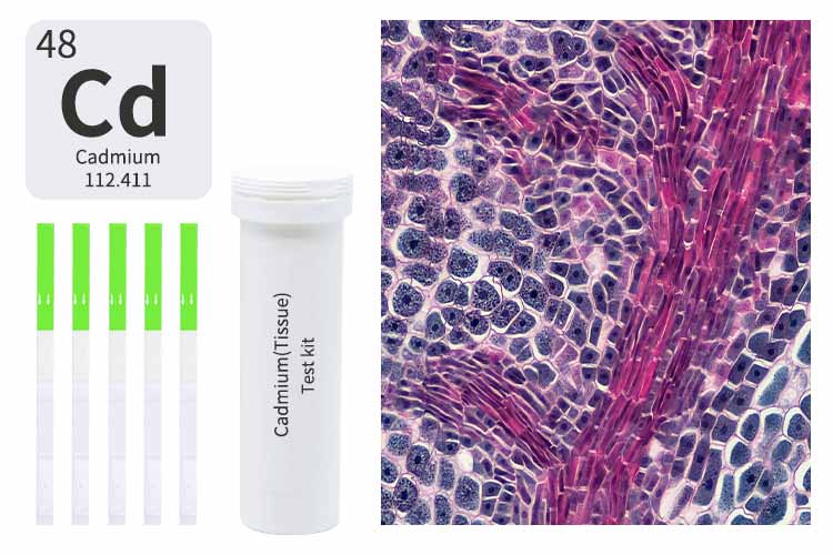 mercury-poisoning-test-kit