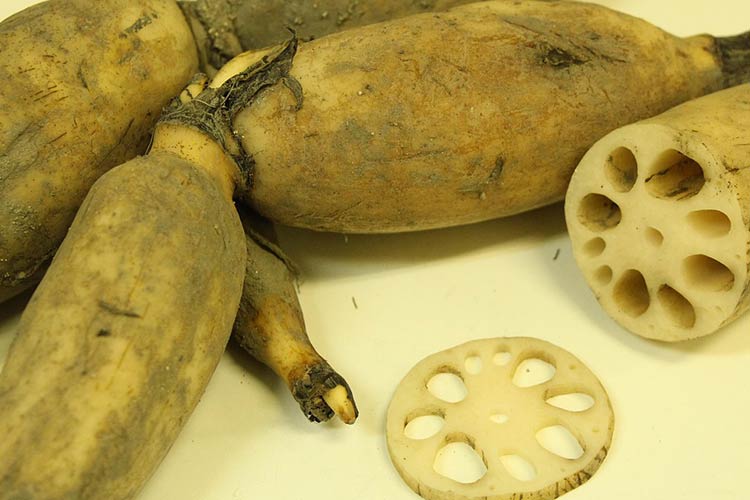 assessment-of-heavy-metals-in-vegetables