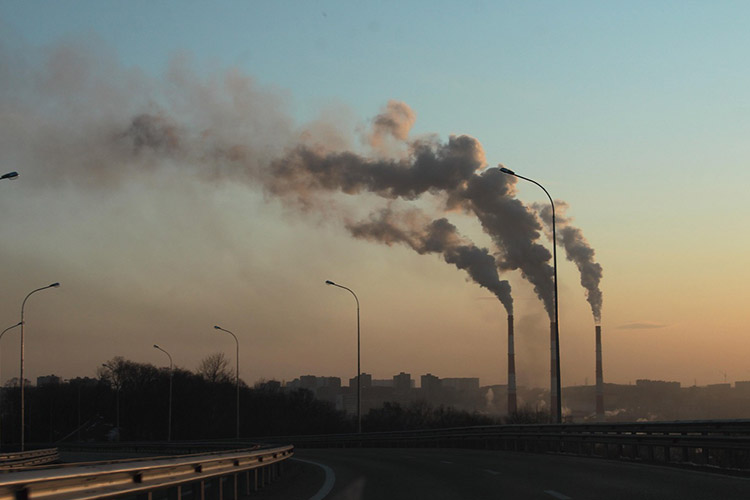 heavy-metal-contamination-in-vegetables