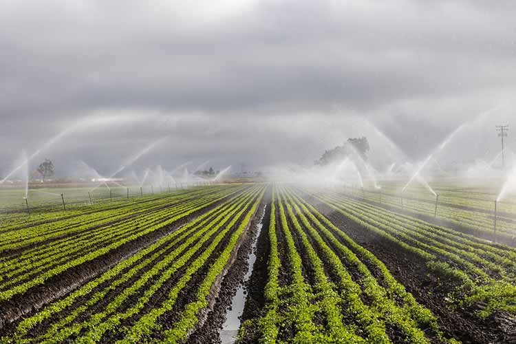 heavy-metal-water-testing-kit