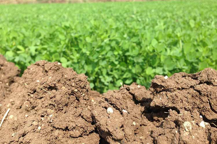 heavy-metals-found-in-fruit-juices