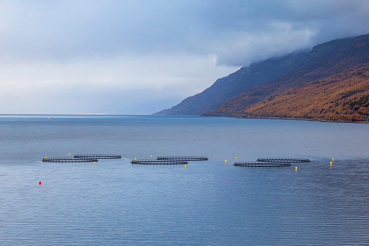 how-to-test-for-heavy-metals-in-water