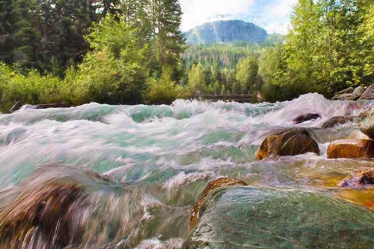 how-to-test-for-metals