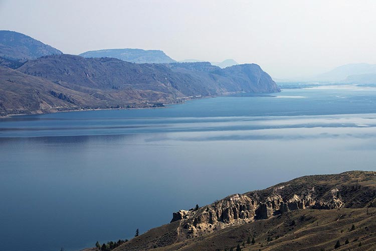 remove-mercury-from-water